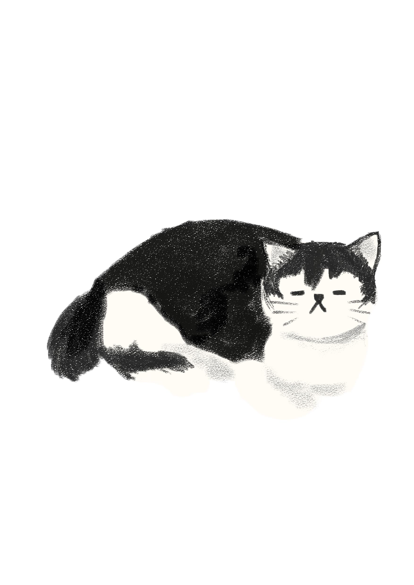 Our cat